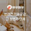 바우동물병원 이미지