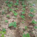 골짜구니농장 이미지