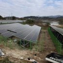 유진 태양광발전소 이미지