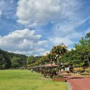 충효체육관 | [대전 서구] 펫터테인먼트 - 전 견종 가능