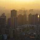 친구가 될 동물병원 이미지