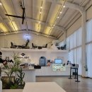 오목천로152번길 | [수원 오목천동 카페] 층고 높은 개방감에 반하다! '카페 하이라이트' 코코넛 라떼 후기