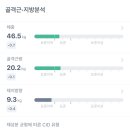 크로스핏 보라 이미지