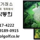 용평버치힐테라스레지던스콘도 이미지