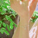 이리스 이미지
