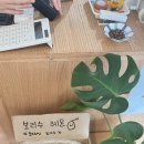 보리수카페 이미지