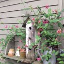 나만의 그린 인테리어 이미지