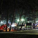 몽산포 야영장 이미지