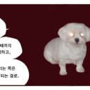 라르고빌리조트