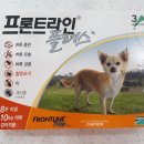 장천드림약국 이미지