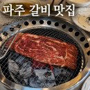 금촌금고기 | 금촌 맛집 효원가 파주 돼지갈비 구워주는 곳 소갈비 후기 놀이방 있는 고기집