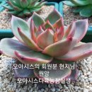 원앙농장 이미지