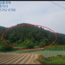 영천시신녕면부산보건진료소 네이버블로그