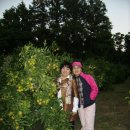 주인농장 이미지