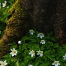 성창기업 이미지