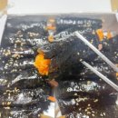 늘솜꼬마김밥 이미지