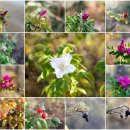 별량학산보건진료소 | [코리아 둘레길] 남파랑길 순천 구간 61코스 (와온해변에서 순천만 지나 별량 화포항까지)