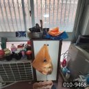 대림탕 이미지