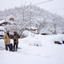 탁씨네민박 이미지