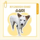 경기켄넬 이미지