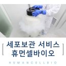 (주)휴먼