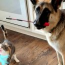 (주)견공 이미지