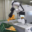 성주농협 APC 이미지