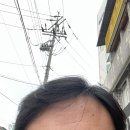 헤어 채플린