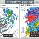 더자주