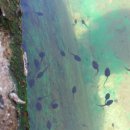 천시원교육농장 이미지