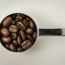 커피 옵저버토리(coffee observatory) 이미지