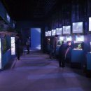 다누리민박