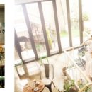 뉴청스튜디오 이미지