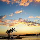 배곧한울공원 이미지