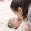 그린트리컨설팅