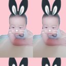 콩이통신 이미지