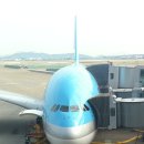 대한항공 A380 첫 운항 탑승기 인천-나리타, 2011년 6월 17일 이미지