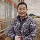 도원축산 이미지