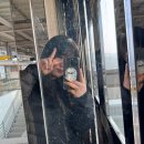 J캣 | 퇴사기념 가족 홍콩여행 1일차(완탕면 미슐랭 맛집, 미드레벨 에스컬레이터, 캣스트리트 벼룩시장)