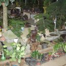 수주초등학교 이미지