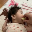 코스큐어 네이버블로그