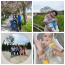 김제체육관 | 2025.05.02.금 (207일차) 썸머팬티 여름 팬티 기저귀 추천, 마미포코( 시기) + 아영몬과 김제 등나무터널