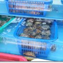 연화할매집 이미지