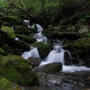 자연과 나 이미지