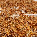 (주)자양 이미지