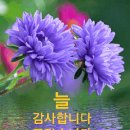 마늘의 효능 이미지