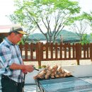 공주계곡캠핑 이미지