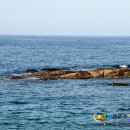 천진민박 이미지