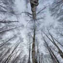 하이원공인중개사사무소 이미지