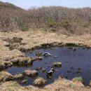 (합) 동아 이미지